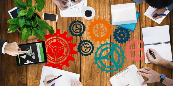 Project Execution & Value Delivery